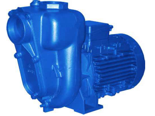 Pompe Auto-amorçante CS Waterpumps AC1M50 HP 1 – Avec Cuve Close, Fabriquée En Italie